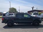 2024 Ford F-150 SuperCrew Cab 4x4, Pickup for sale #FRKD40248 - photo 5