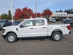 2024 Ford F-150 SuperCrew Cab 4x4, Pickup for sale #FRKF26168 - photo 3