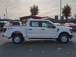 2024 Ford F-150 SuperCrew Cab 4x4, Pickup for sale #FRKF26168 - photo 6