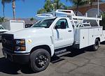 2023 Chevrolet Silverado 5500 Regular Cab DRW RWD, Contractor Truck for sale #23449 - photo 6