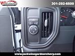 2024 Chevrolet Silverado 1500 Double Cab 4x2, Pickup for sale #249247 - photo 21
