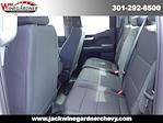 2024 Chevrolet Silverado 1500 Double Cab 4x2, Pickup for sale #249261 - photo 11