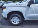 New 2024 Chevrolet Silverado 1500 Work Truck Regular Cab 4x2, Pickup for sale #249333 - photo 14