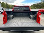 New 2024 Chevrolet Silverado 1500 LT Crew Cab 4x4, Pickup for sale #249477 - photo 20