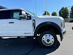 New 2024 Ford F-550 XLT Crew Cab 4WD, Dump Truck for sale #SFO240237 - photo 3