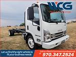 New 2025 Isuzu NQR Regular Cab 4x2, Cab Chassis for sale #GM8744 - photo 1