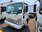 2025 Isuzu NQR Regular Cab 4x2, Cab Chassis for sale #GM8954 - photo 5