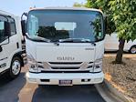 2025 Isuzu NQR Regular Cab 4x2, Cab Chassis for sale #GM8954 - photo 6