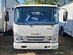 2025 Isuzu NQR Crew Cab 4x2, Cab Chassis for sale #GM9243 - photo 6