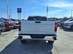 2025 Chevrolet Silverado 1500 Double Cab 4x2, Pickup for sale #T250379 - photo 6