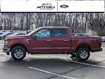 New 2024 Ford F-150 XLT SuperCrew Cab 4x4, Pickup for sale #49503 - photo 6