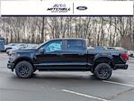 New 2024 Ford F-150 STX SuperCrew Cab 4x4, Pickup for sale #49516 - photo 6