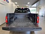 New 2023 Ford F-150 XLT SuperCrew Cab 4x4, Pickup for sale #C0802 - photo 8