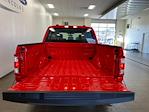 2023 Ford F-150 SuperCrew Cab 4x4, Pickup for sale #C1161 - photo 8