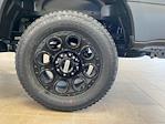2024 Ford F-250 Crew Cab SRW 4x4, Pickup for sale #D0409 - photo 29