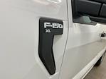 2024 Ford F-150 Regular Cab RWD, Pickup for sale #D0505 - photo 8