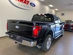 New 2024 Ford F-150 XLT SuperCrew Cab 4x4, Pickup for sale #D0548 - photo 2