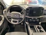 New 2024 Ford F-150 XLT SuperCrew Cab 4x4, Pickup for sale #D0569 - photo 12