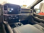 New 2024 Ford F-150 XLT SuperCrew Cab 4x4, Pickup for sale #D0569 - photo 13