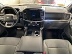 New 2024 Ford F-150 XLT SuperCrew Cab 4x4, Pickup for sale #D0574 - photo 11