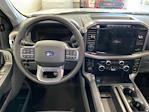 New 2024 Ford F-150 XLT SuperCrew Cab 4x4, Pickup for sale #D0641 - photo 14