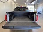 New 2024 Ford F-150 XLT SuperCrew Cab 4x4, Pickup for sale #D0641 - photo 8