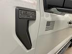 New 2024 Ford F-150 STX SuperCrew Cab 4x4, Pickup for sale #D0865 - photo 20