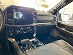 New 2024 Ford F-150 XLT SuperCrew Cab 4x4, Pickup for sale #D1057 - photo 12