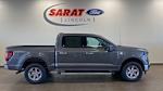 New 2024 Ford F-150 XLT SuperCrew Cab 4x4, Pickup for sale #D1206 - photo 1