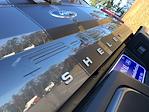 2019 Ford F-150 SuperCrew Cab SRW 4x4, Pickup #N10993A - photo 8