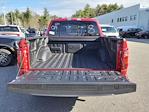2024 Ford F-150 SuperCrew Cab 4x4, Pickup for sale #12066 - photo 2