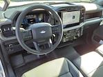 2024 Ford F-150 Regular Cab 4x4, Pickup for sale #12067 - photo 8