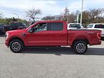 Used 2021 Ford F-150 XLT SuperCrew Cab 4WD, Pickup for sale #MP7192 - photo 5