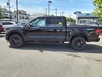 New 2024 Ford F-150 XLT SuperCrew Cab 4WD, Pickup for sale #E511 - photo 12