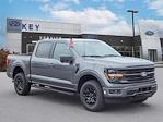 New 2024 Ford F-150 XLT SuperCrew Cab 4WD, Pickup for sale #E658 - photo 1