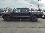 New 2024 Ford F-150 XLT SuperCrew Cab 4WD, Pickup for sale #E703 - photo 6