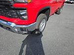 2024 Chevrolet Silverado 2500 Regular Cab 4WD, Pickup for sale #24WC247 - photo 5