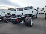 New 2024 Chevrolet Silverado 6500 LT Regular Cab 4WD, Cab Chassis for sale #24WC60 - photo 2