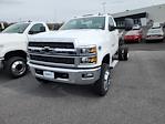 New 2024 Chevrolet Silverado 6500 LT Regular Cab 4WD, Cab Chassis for sale #24WC65 - photo 1
