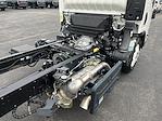 New 2023 Chevrolet LCF 5500XD Base Regular Cab 4x2, Cab Chassis for sale #T231385 - photo 21