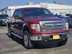 Used 2013 Ford F-150 XLT SuperCrew Cab 4WD, Pickup for sale #243022A - photo 3