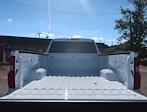 New 2025 Chevrolet Silverado 2500 Work Truck Regular Cab RWD, Pickup for sale #1125T170 - photo 3