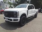 2024 Ford F-250 Crew Cab 4WD, Pickup for sale #67329 - photo 4
