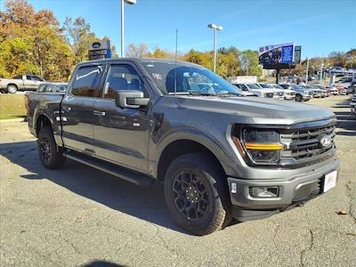 2024 Ford F-150 SuperCrew Cab 4WD, Pickup for sale #67760 - photo 1