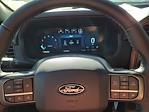 2024 Ford F-150 SuperCrew Cab 4WD, Pickup for sale #67760 - photo 10