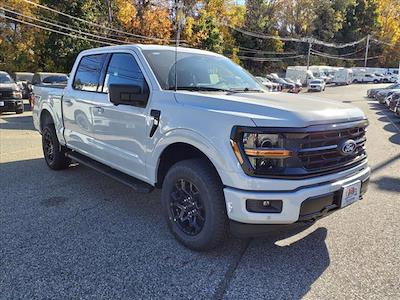 2024 Ford F-150 SuperCrew Cab 4WD, Pickup for sale #67777 - photo 1