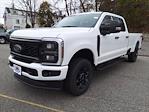 2024 Ford F-250 Crew Cab 4WD, Pickup for sale #67824 - photo 4