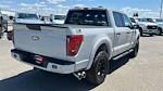 New 2024 Ford F-150 STX SuperCrew Cab 4x4, Pickup for sale #T23580 - photo 5