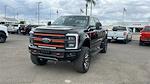 2024 Ford F-250 Crew Cab 4x4, Pickup for sale #T24113 - photo 8