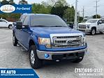 2014 Ford F-150 SuperCrew Cab 4WD, Pickup for sale #247627B - photo 1